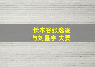 长木谷张逸凌与刘星宇 夫妻